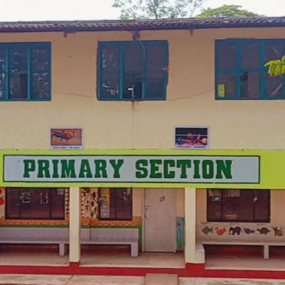 ප්‍රාථමික අංශය 