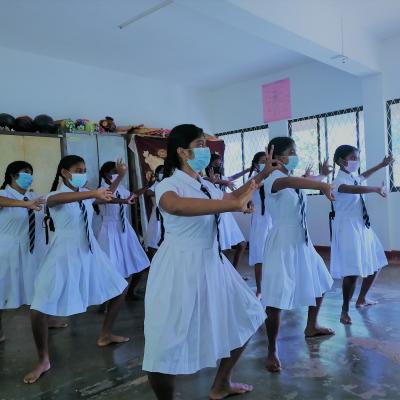 ද්විතික අංශය