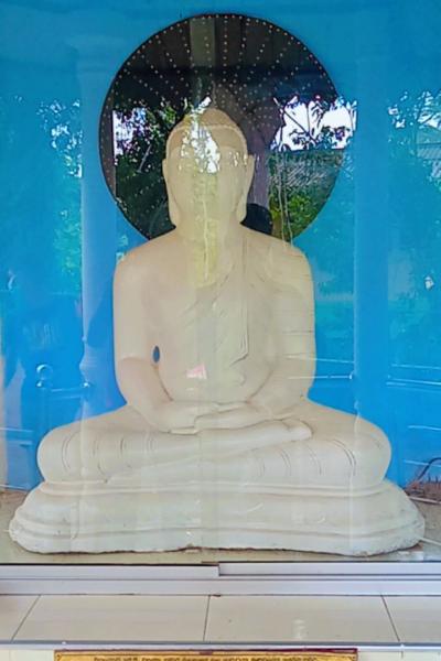 Img 20220611 Wa00261